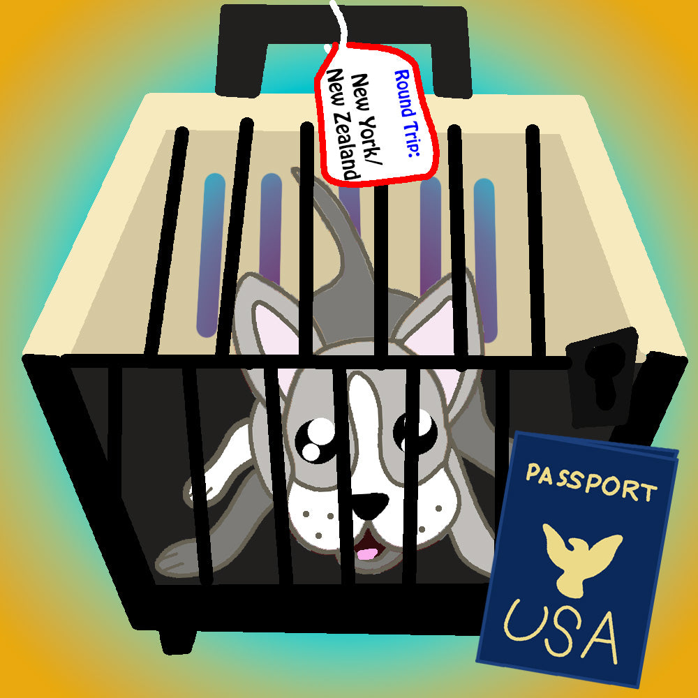 Pet-Friendly Travel Planning