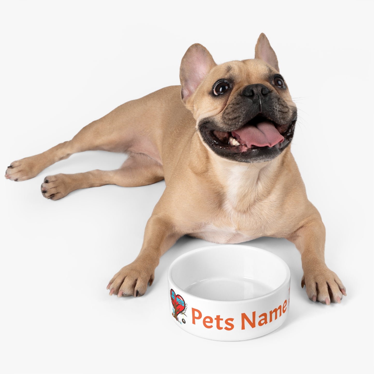 Personalized Pet Bowl with Custom Pet Name and Not Just Pets Logo